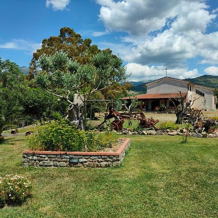 Azienda Agrituristica Verdevalle Cicerale Екстер'єр фото